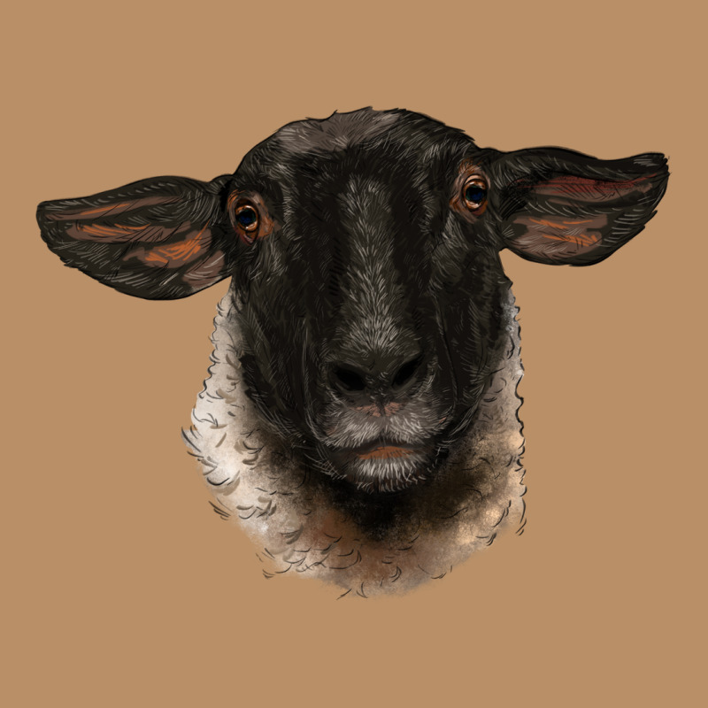 Suffolk Ewe Head Vintage Hoodie by BarkalooDesign | Teevron