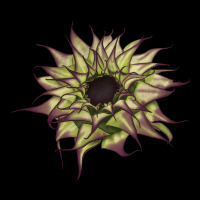 Sun   Fill Purple Sunflower Urban Heavy Tee | Teevron