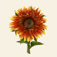 The  Sunflower Vintage Tee | Teevron