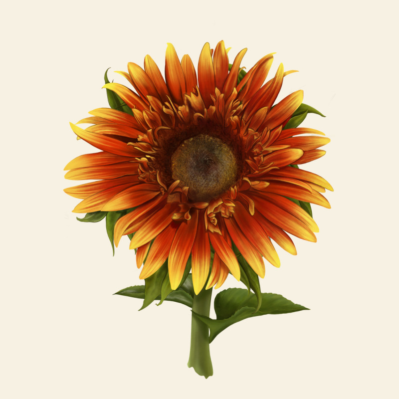 The  Sunflower Vintage Tee by LillyAllenDesigns | Teevron