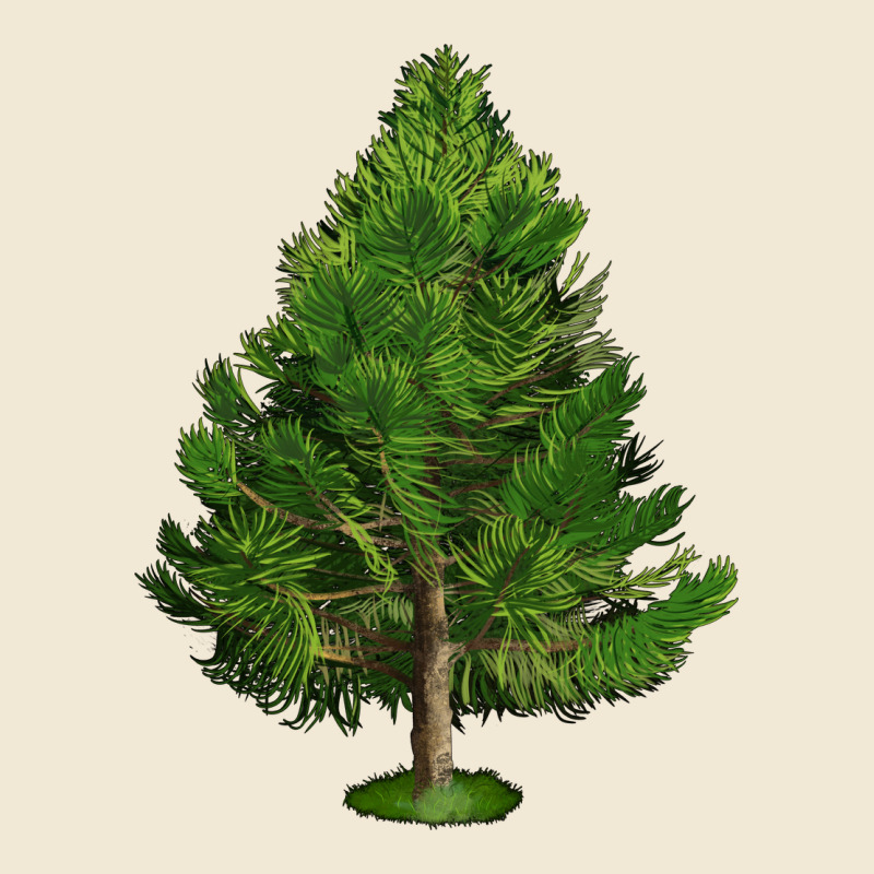 White Pine Tree Illustrations Premium Tee by LillyAllenDesigns | Teevron