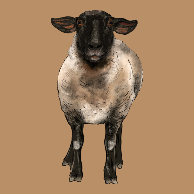 Suffolk Ewe Front Vintage Hoodie by BarkalooDesign | Teevron