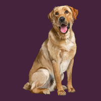 Labrador Retriever Llustrations Premium Tee | Teevron