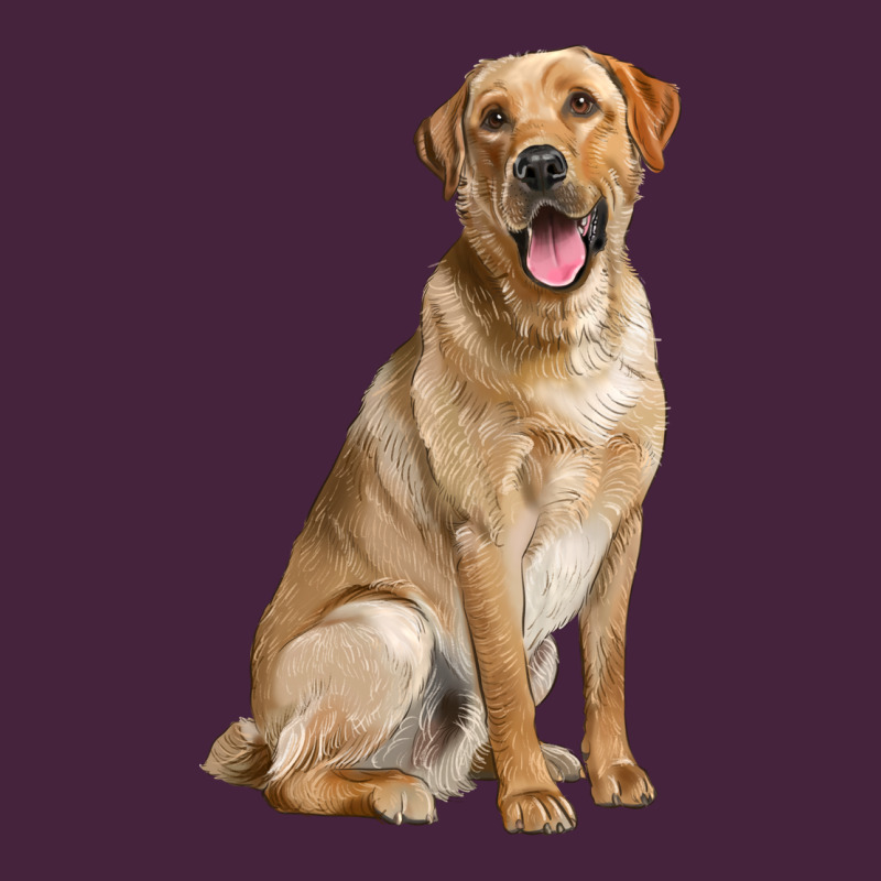 Labrador Retriever Llustrations Premium Tee by LillyAllenDesigns | Teevron
