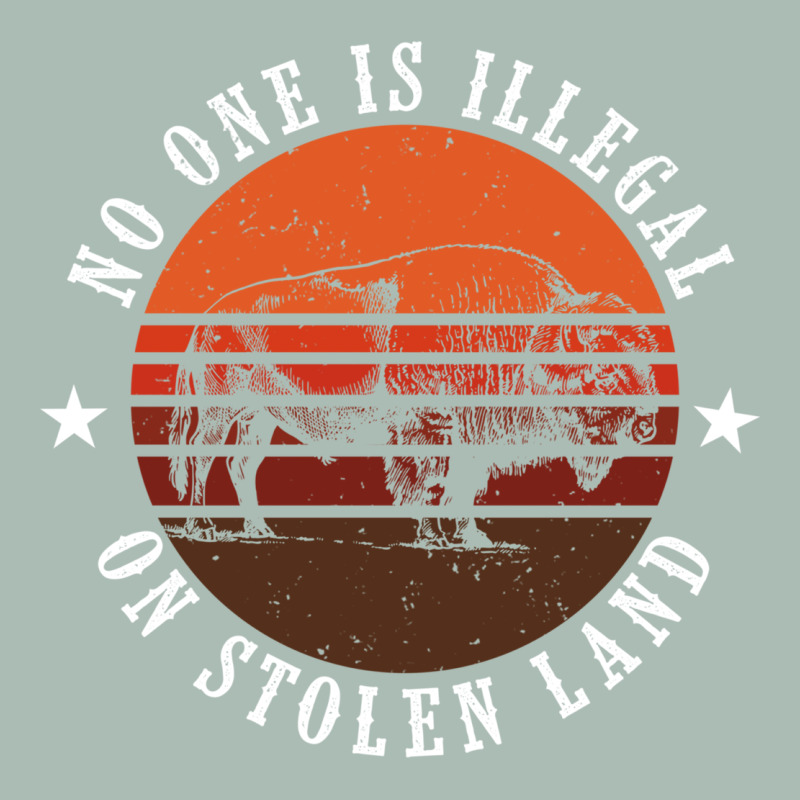 No One Is Illegal On Stolen Land 4th Of July Bison Classic Tee by linhVisuals | Teevron