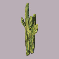 Saguaro Cactus Vintage Tee | Teevron