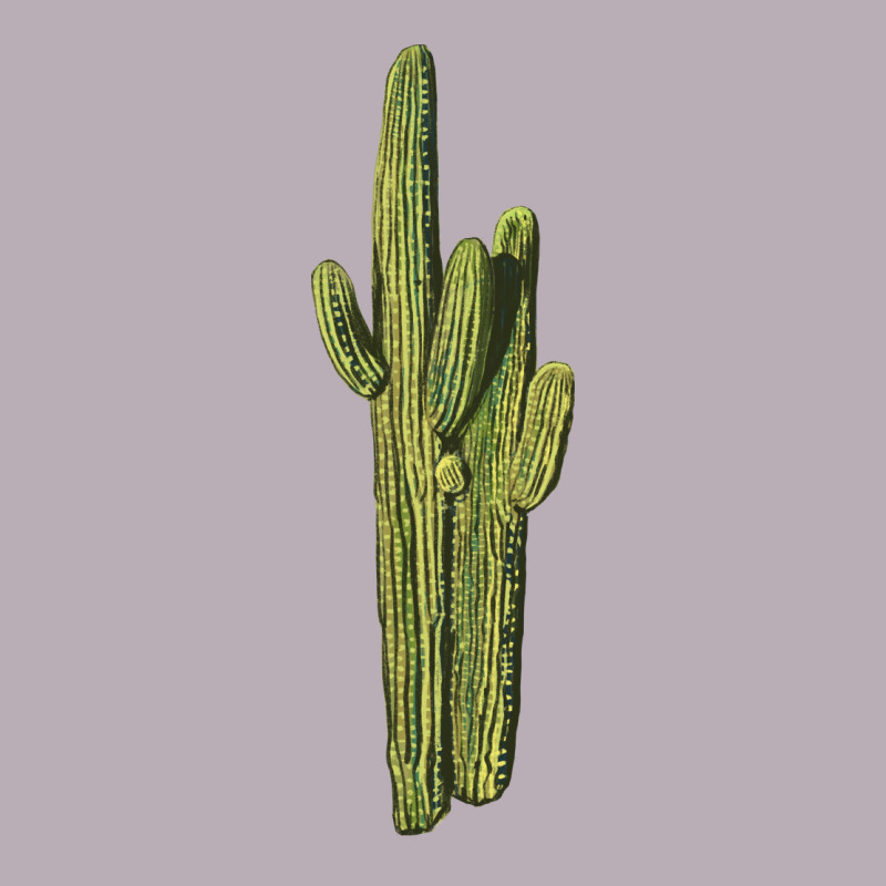Saguaro Cactus Vintage Tee by LillyAllenDesigns | Teevron