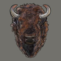 American Bison Premium Hoodie | Teevron