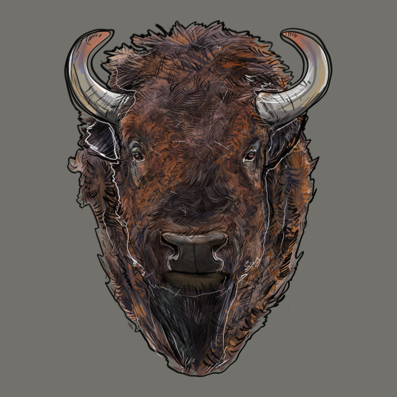 American Bison Premium Hoodie by RanaPortraitStore | Teevron