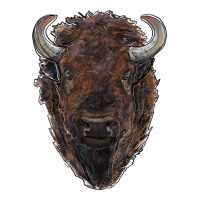 american bison | Teevron