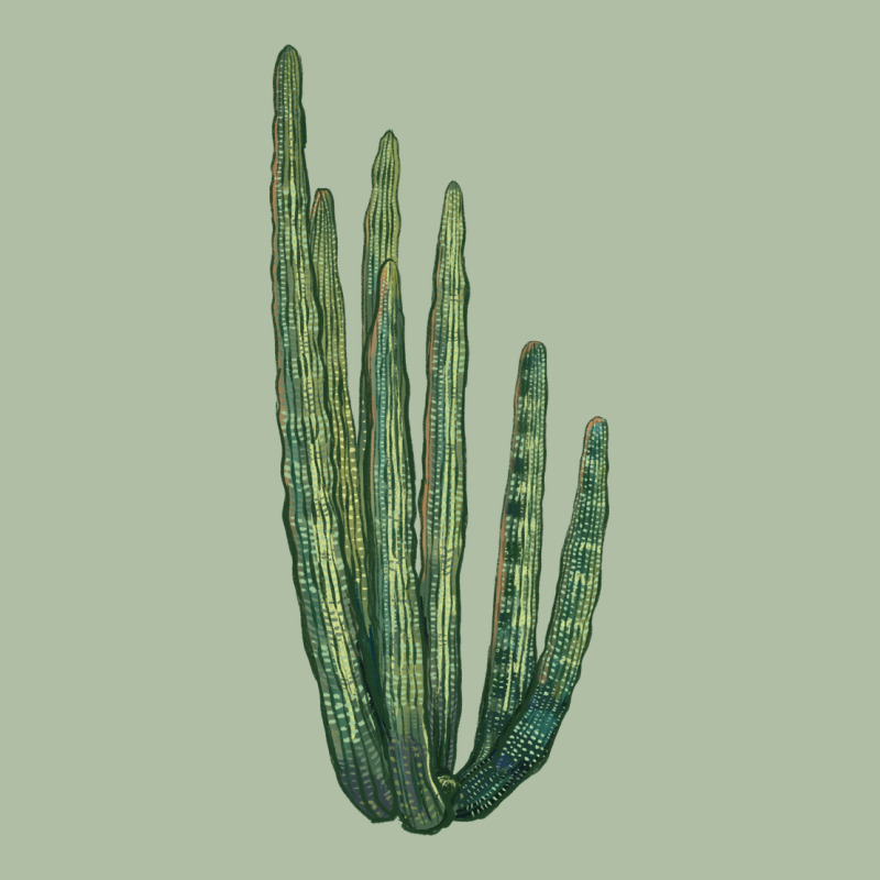 Organ Pipe Cactus Urban Heavy Tee by LillyAllenDesigns | Teevron