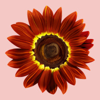 Rouge Royale Sunflower Urban Heavy Tee | Teevron