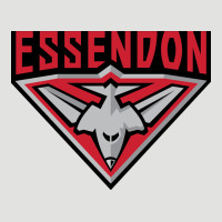 Essendon Fc Classic Tee | Teevron