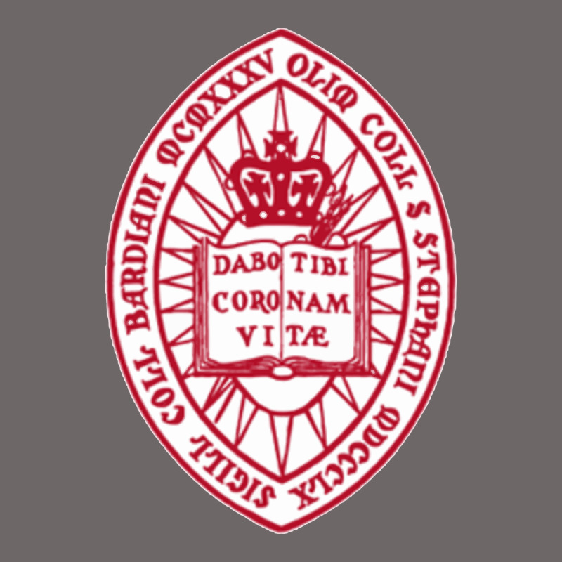 Bard College Classic Tee by linhVisuals | Teevron