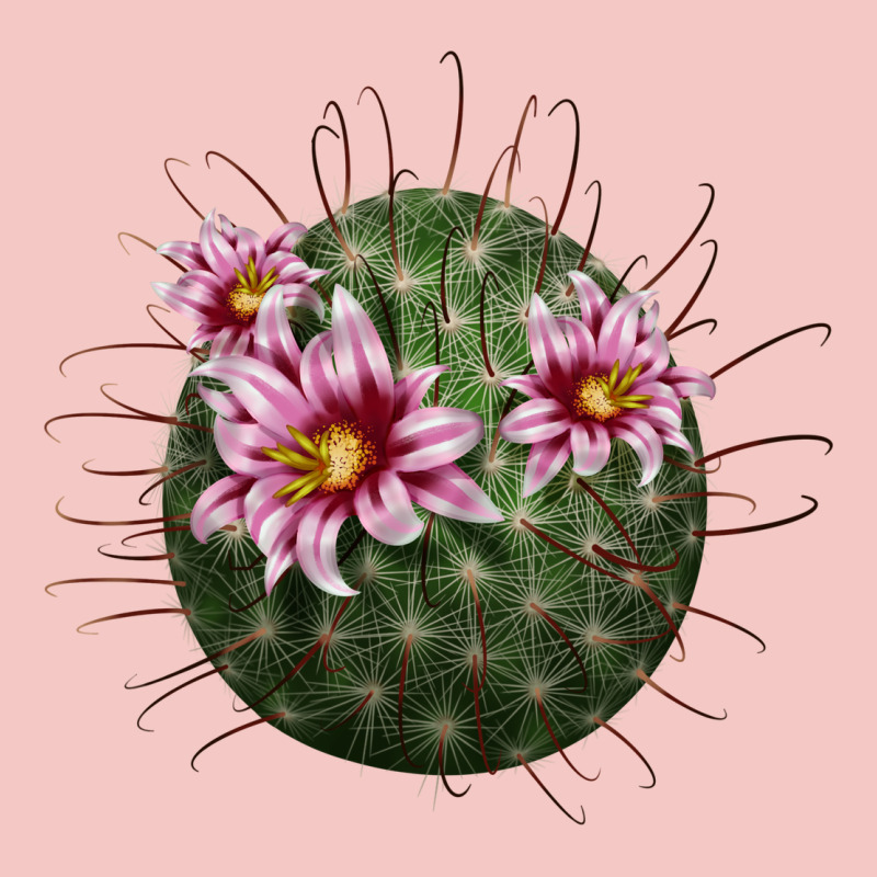 Arizona Fishhook Cactus Urban Heavy Tee by LillyAllenDesigns | Teevron
