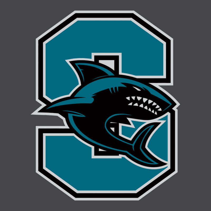 Santiago High School Classic Tee by linhVisuals | Teevron