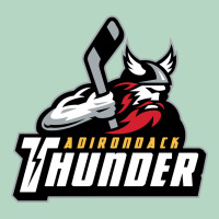 The-adirondack-thunder-pen Classic Tee | Teevron
