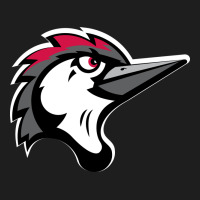 Fayetteville Woodpeckers Classic Tee | Teevron