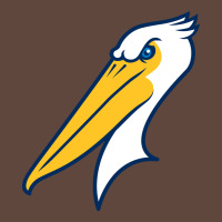 Myrtle Beach Pelicans Classic Tee | Teevron