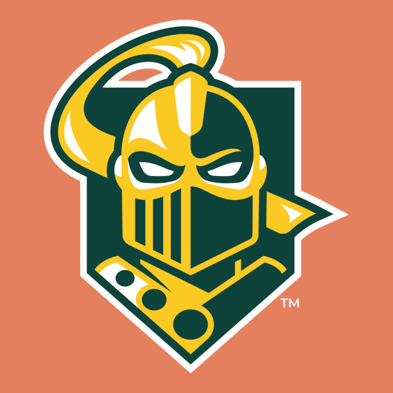 The Clarkson Golden Knights Classic Tee by linhVisuals | Teevron
