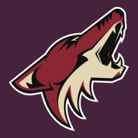 The-coyotes-of-arizona-sporst Classic Tee | Teevron
