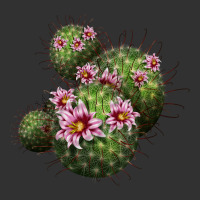 Arizona Fishhook Cacti Urban Heavy Tee | Teevron