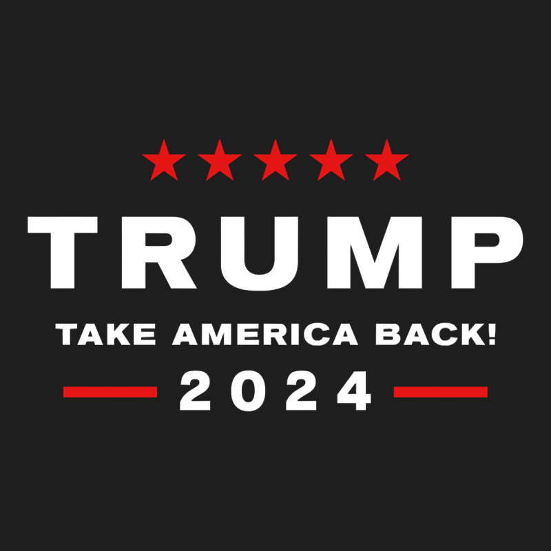 Donald Trump 2024 Take America Back Election   The Return Sweatshirt Classic Tee by linhVisuals | Teevron