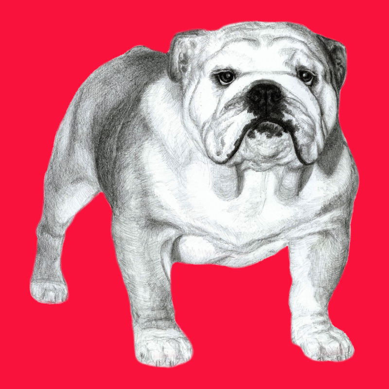 English Bulldog Art Classic Tee by linhVisuals | Teevron