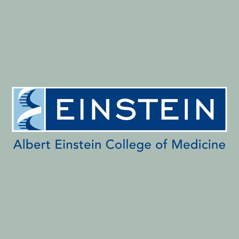 Albert Einstein College Of Medicine Classic Tee by linhVisuals | Teevron