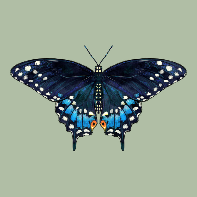 Black Swallowtail Butterfly Urban Heavy Tee by LillyAllenDesigns | Teevron