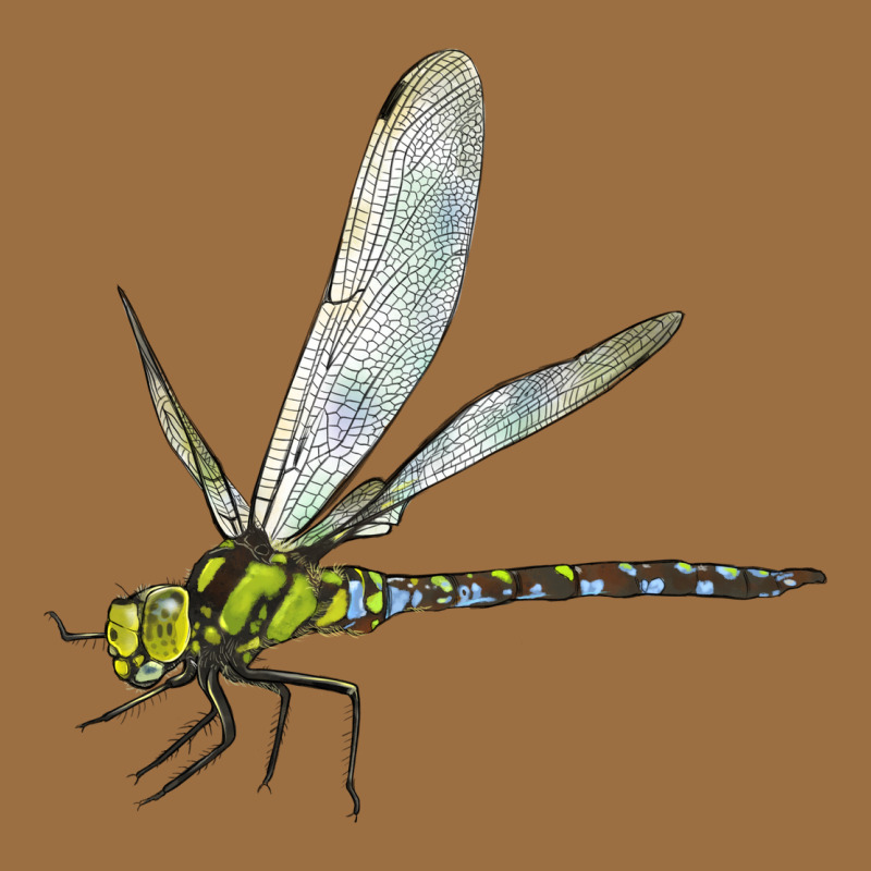 Blue And Yellow Dragonfly Vintage Tee by LillyAllenDesigns | Teevron