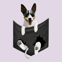 Rat Terrier Dog In Pocket, Rattie Puppy, Ratting Terrier T Shirt Classic Tee | Teevron