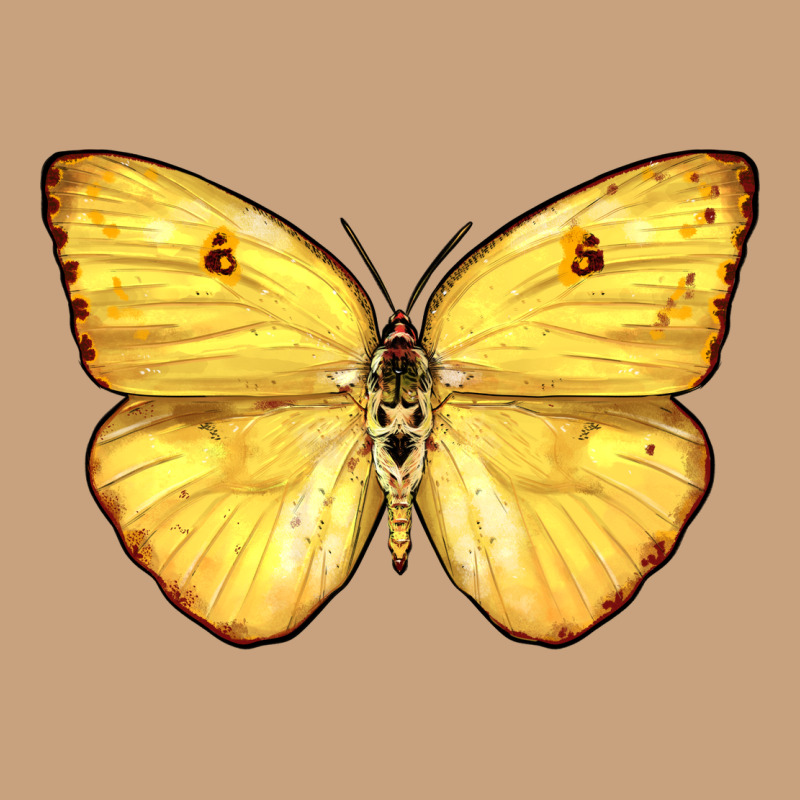 Cloudless Sulphur Butterfly Vintage Tee by LillyAllenDesigns | Teevron