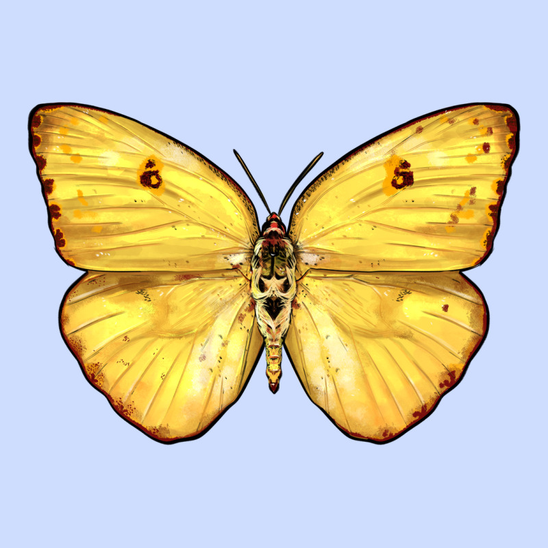 Cloudless Sulphur Butterfly Urban Heavy Tee by LillyAllenDesigns | Teevron