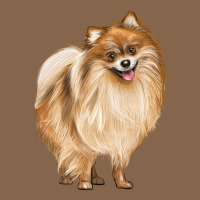 Pomeranian Dog Illustrations Premium Tee | Teevron