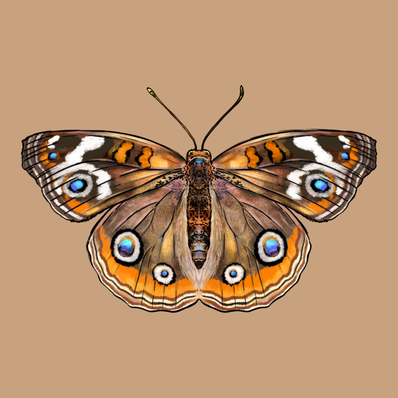 Common Buckeye Butterfly Vintage Tee by LillyAllenDesigns | Teevron