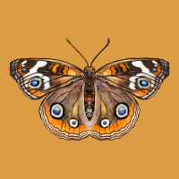 Common Buckeye Butterfly Urban Heavy Tee | Teevron