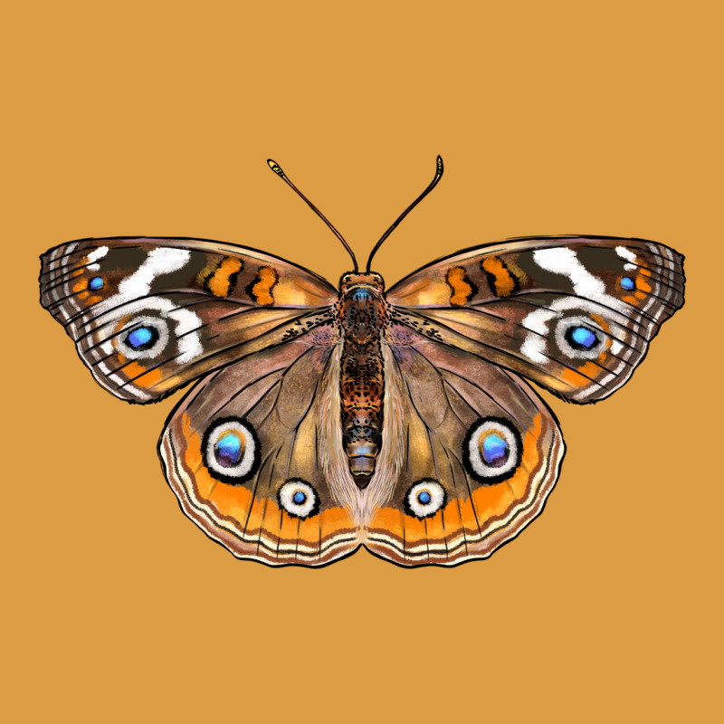 Common Buckeye Butterfly Urban Heavy Tee by LillyAllenDesigns | Teevron