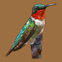 Ruby Throated Hummingbird Bird Vintage Tee | Teevron