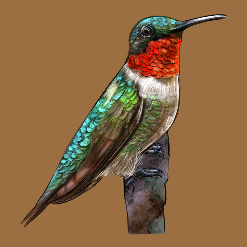 Ruby Throated Hummingbird Bird Vintage Tee by LillyAllenDesigns | Teevron