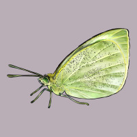 Cabbage White Butterfly Vintage Tee | Teevron