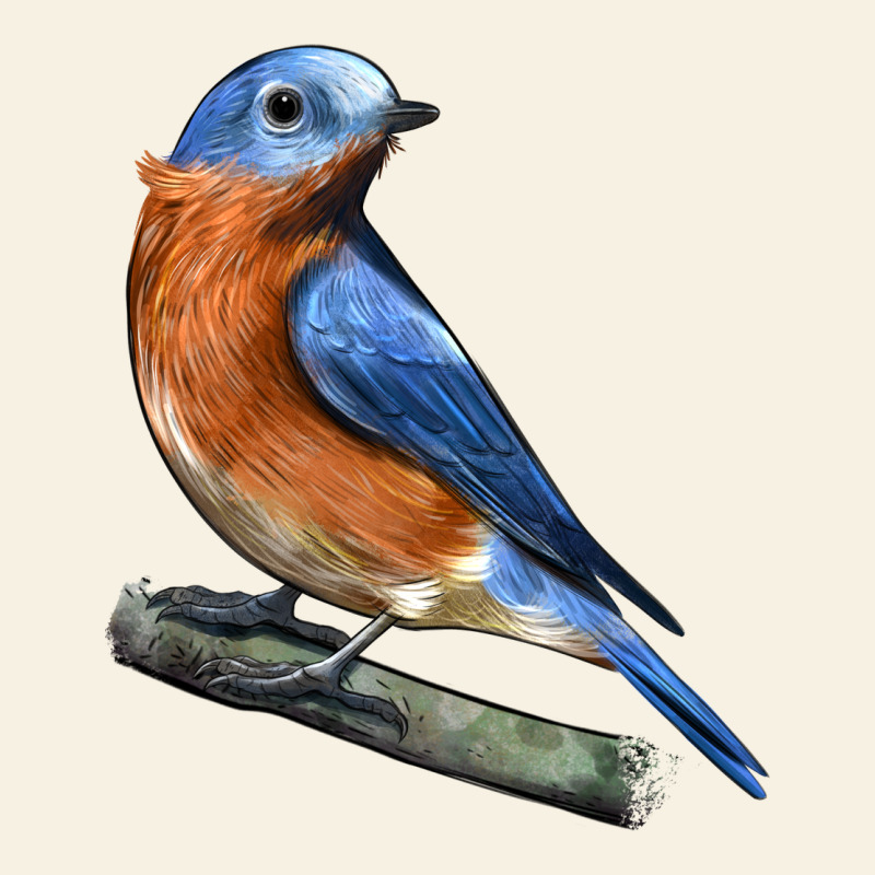 Eastern Bluebird Vintage Tee by LillyAllenDesigns | Teevron