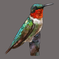 Ruby Throated Hummingbird Bird Urban Heavy Tee | Teevron