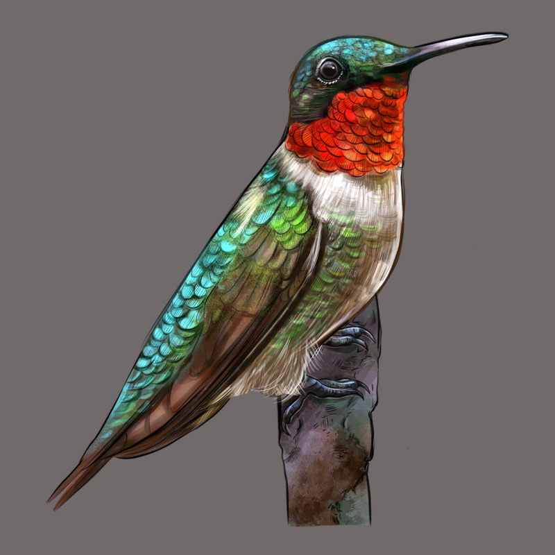 Ruby Throated Hummingbird Bird Urban Heavy Tee by LillyAllenDesigns | Teevron