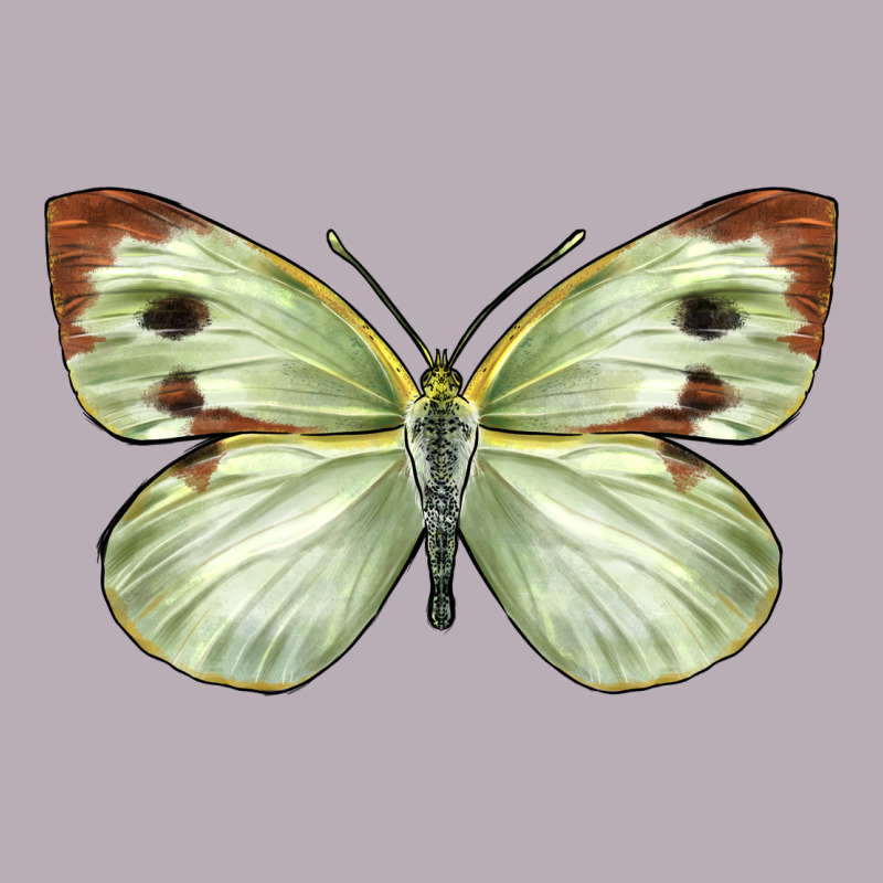 Cabbage Butterfly Vintage Tee by LillyAllenDesigns | Teevron