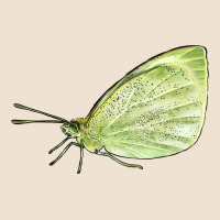 Cabbage White Butterfly Urban Heavy Tee | Teevron