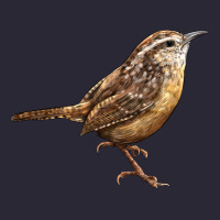 Ccarolina Wren Vintage Tee | Teevron