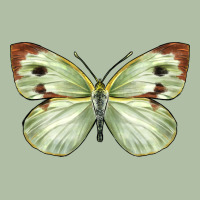 Cabbage Butterfly Urban Heavy Tee | Teevron
