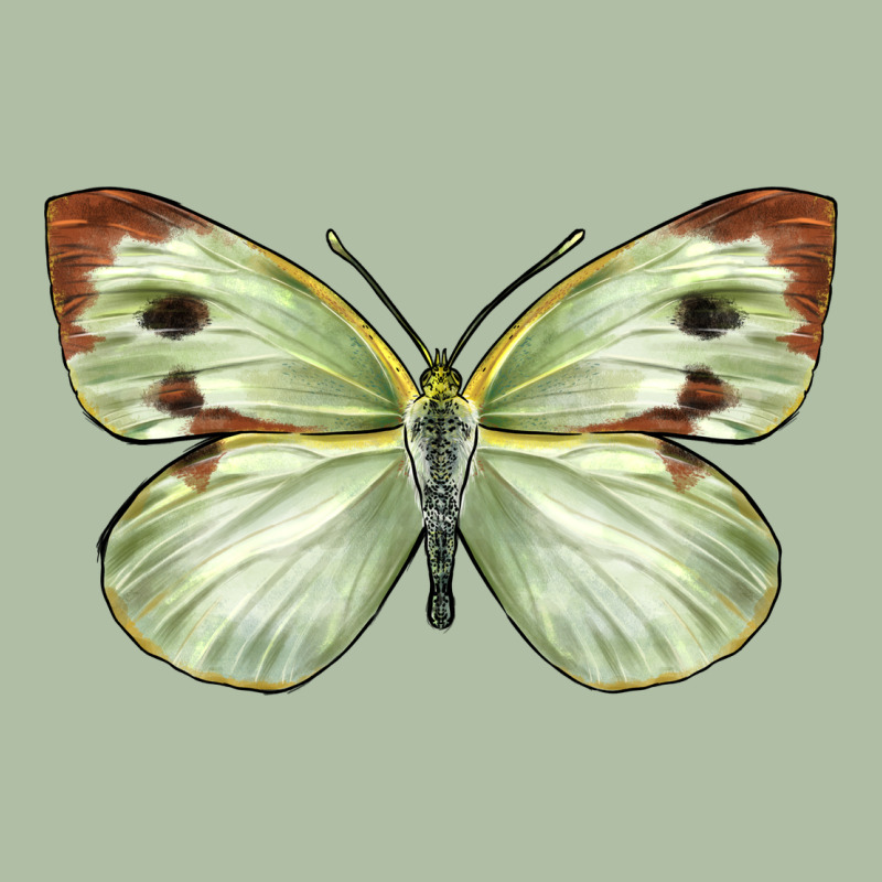 Cabbage Butterfly Urban Heavy Tee by LillyAllenDesigns | Teevron