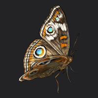 Flying Common Buckeye Butterfly Vintage Tee | Teevron